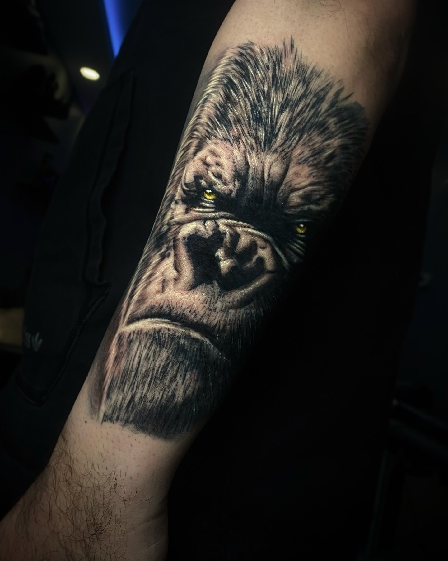 Books Open 

#tattoo #tattoostudio #tattooshop #tattooartist #denver #denvertattoo #denvertattooartist #denvertattooshop #colorado #coloradotattooshop #gorilla #gorillatatttoo #kingkongtattoo #sleeve #sleevetattoo #goodtattooartist #goodtattoostudio 