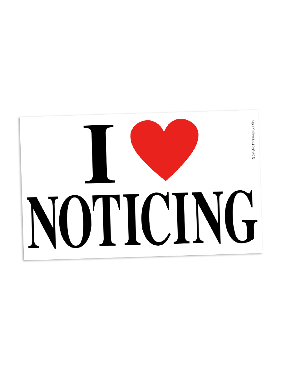 I LOVE NOTICING