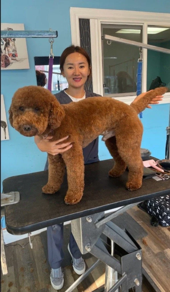 About — DKs Pet Grooming