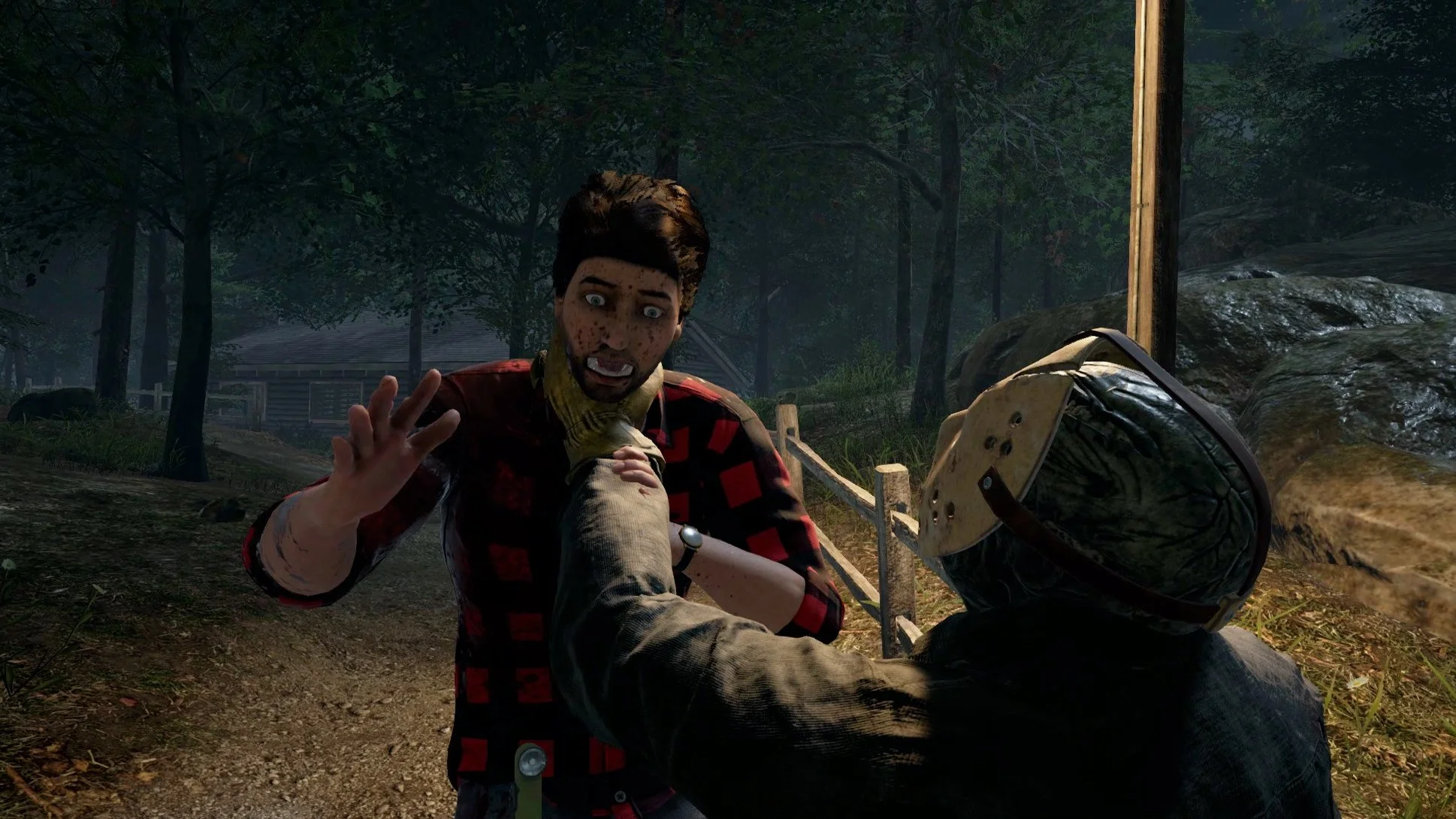 f13.jpg