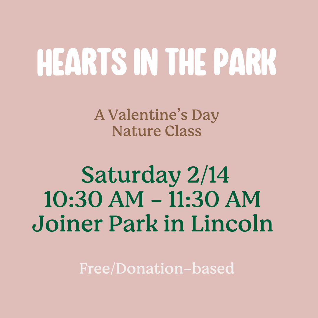 Sunshine Sprouts Posts-66.png