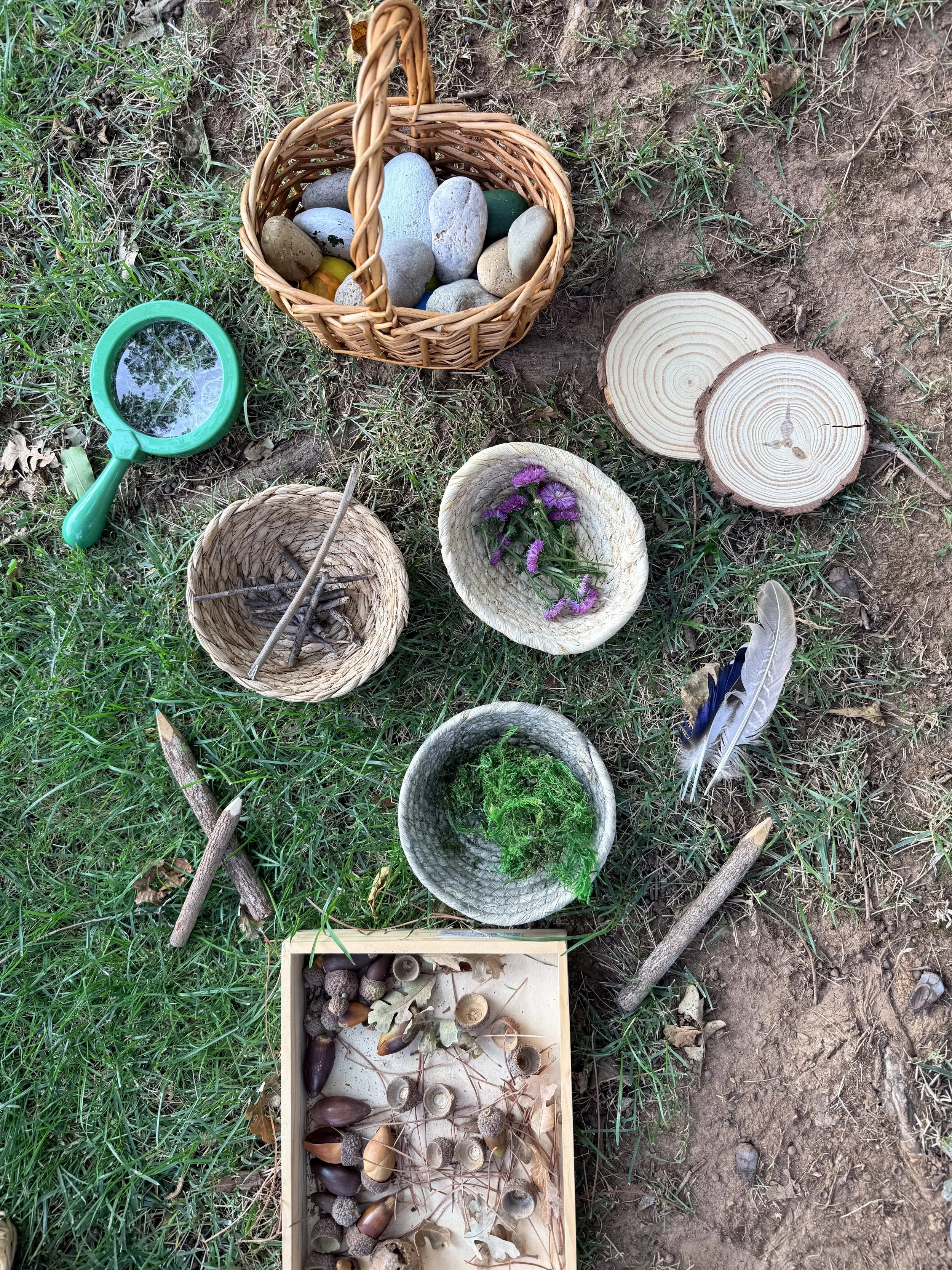 Nature Treasure Collecting