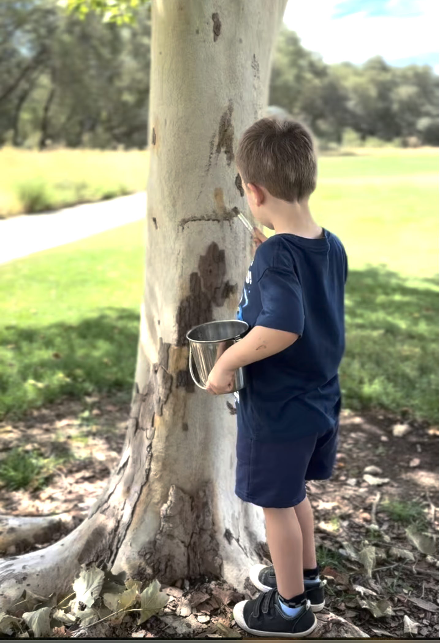 Exploring Water