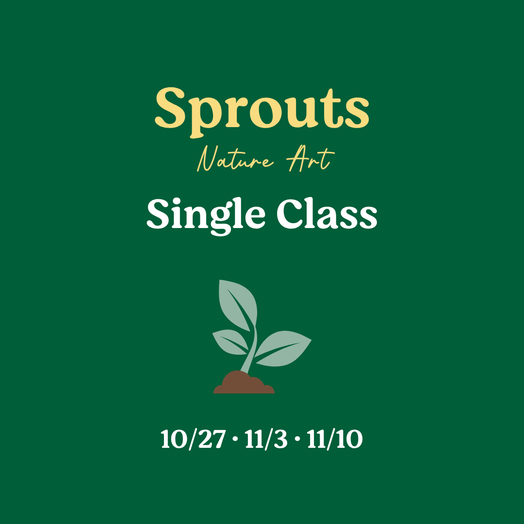 Sprouts Nature Art Single Class