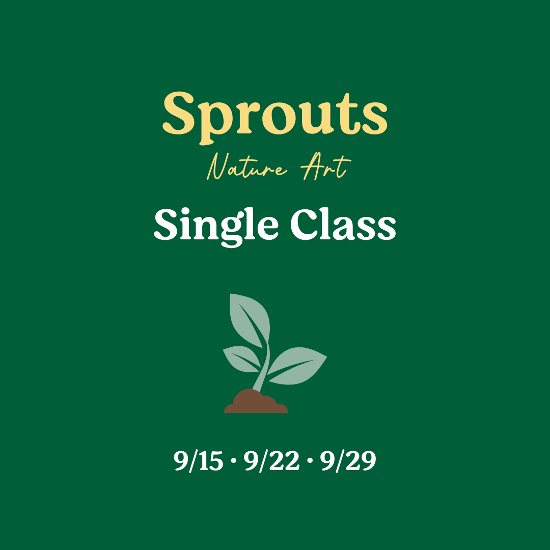 Sunshine Sprouts Website Images-17.png