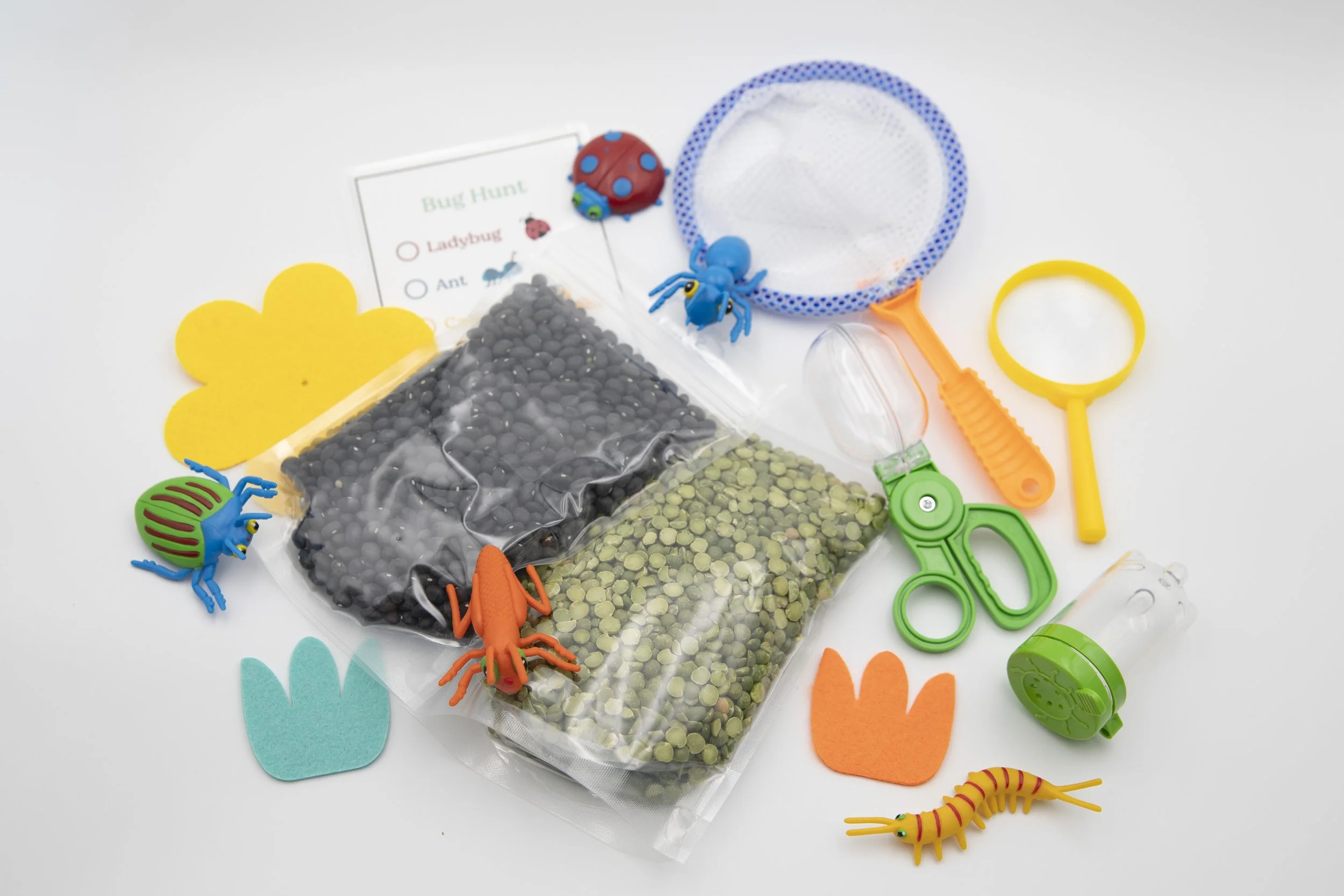 Bug-Themed Sensory Bin