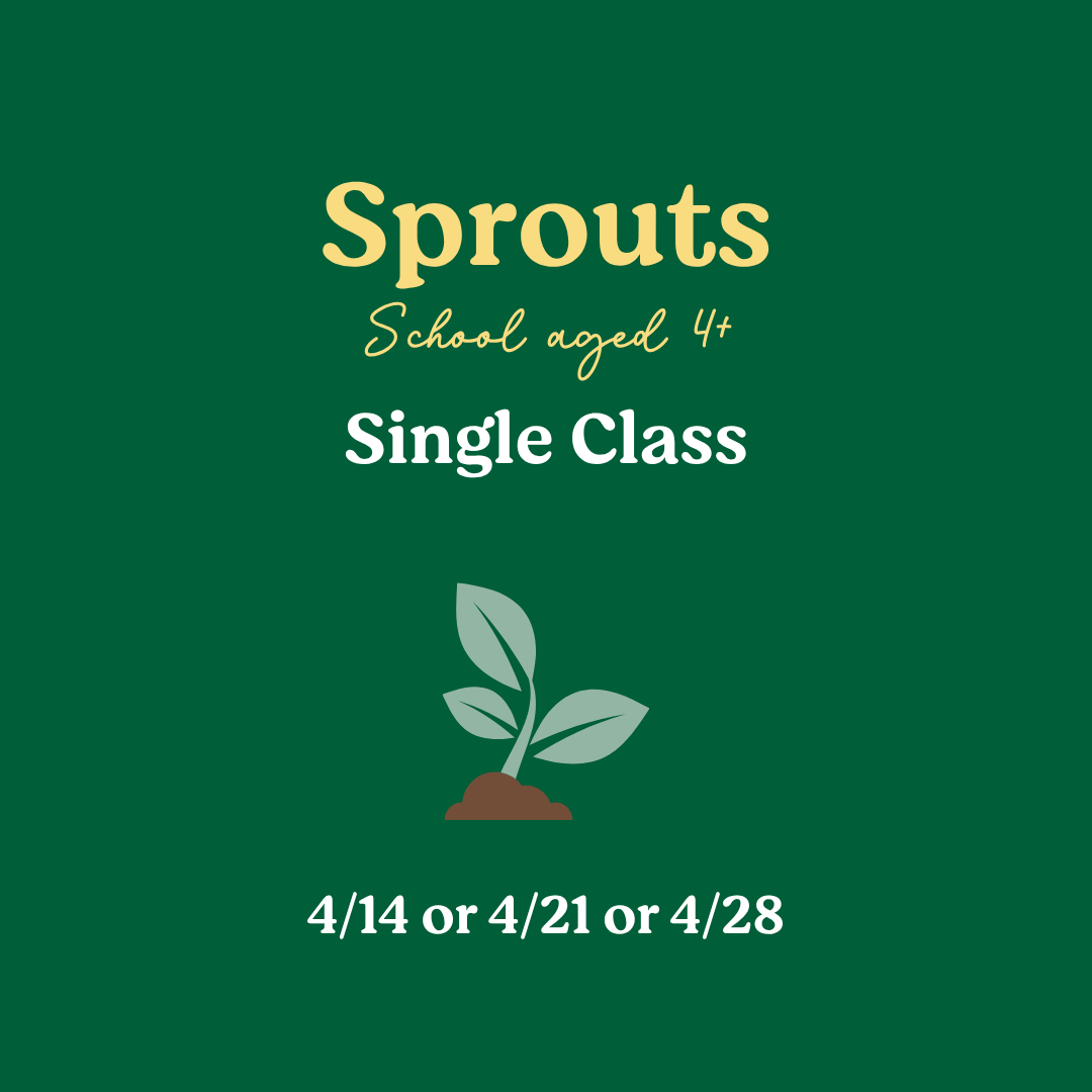 Sprouts School aged Single Class
