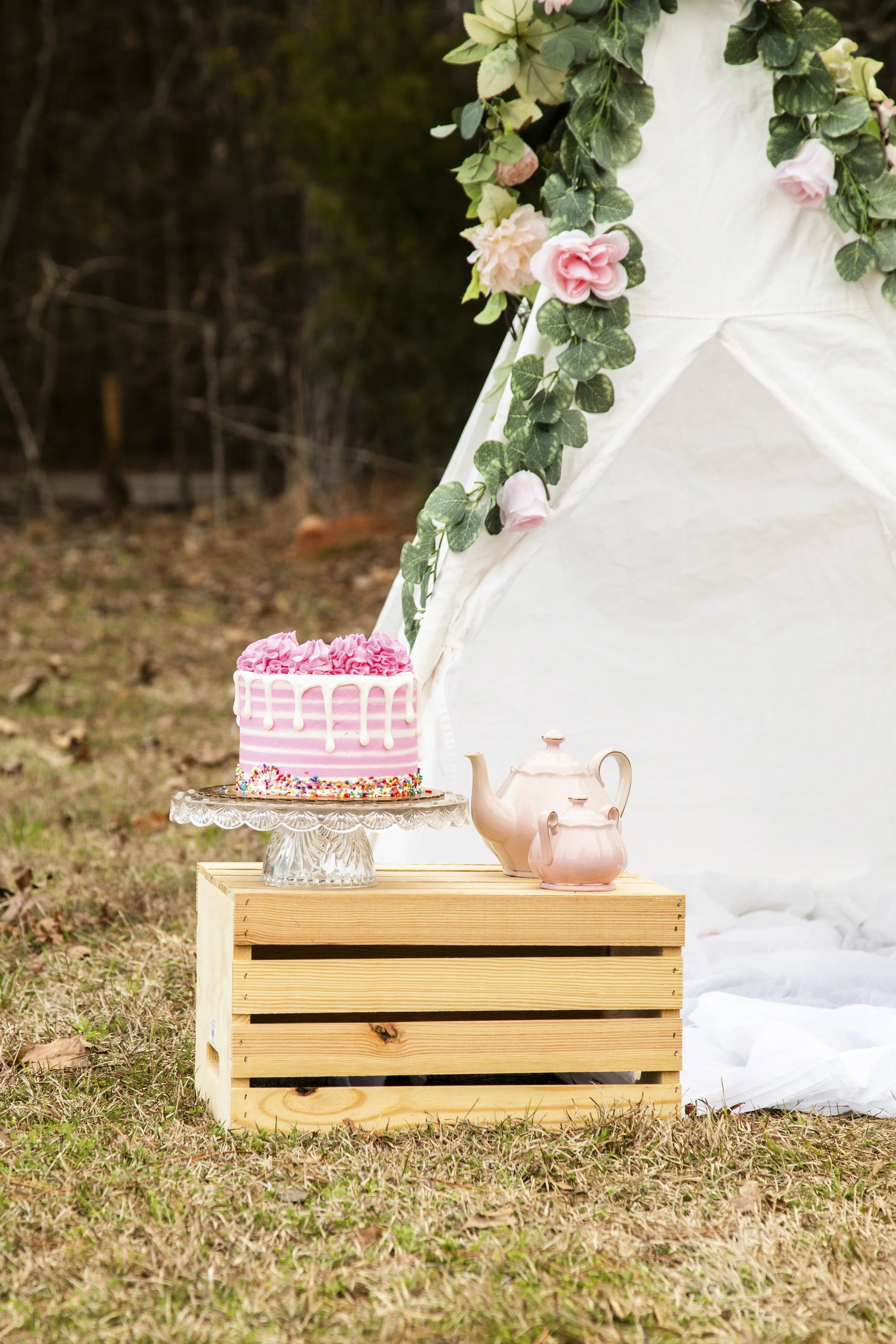 Terressa Cline Photography