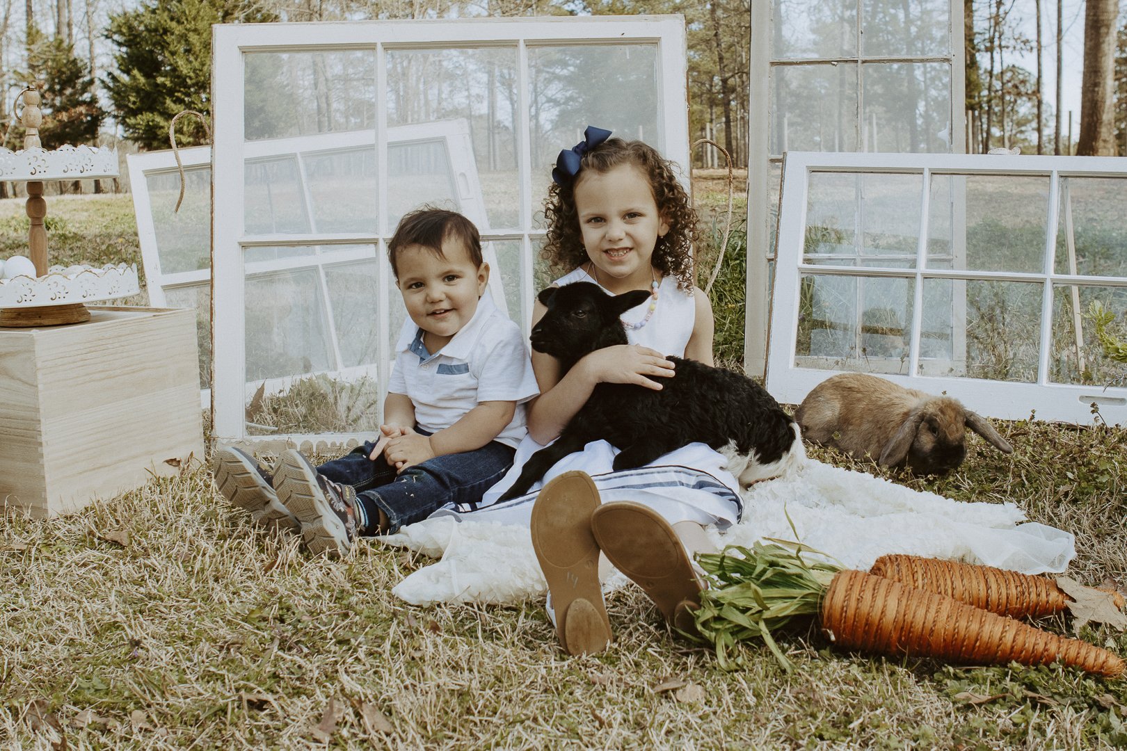 Andrea Lynné Photography