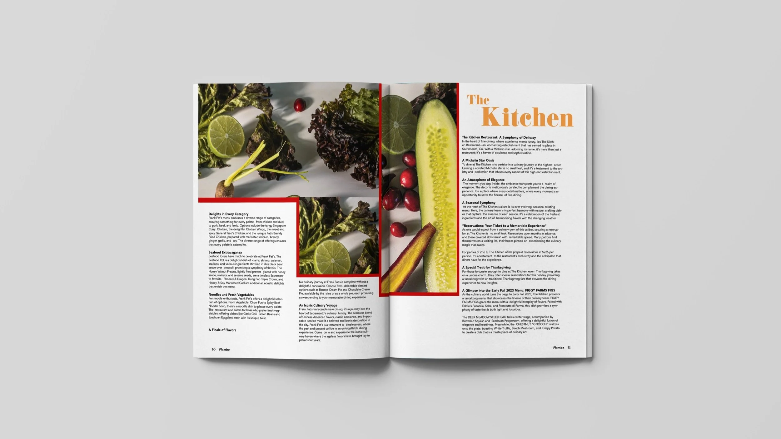 Mockup_article1spread2.jpg