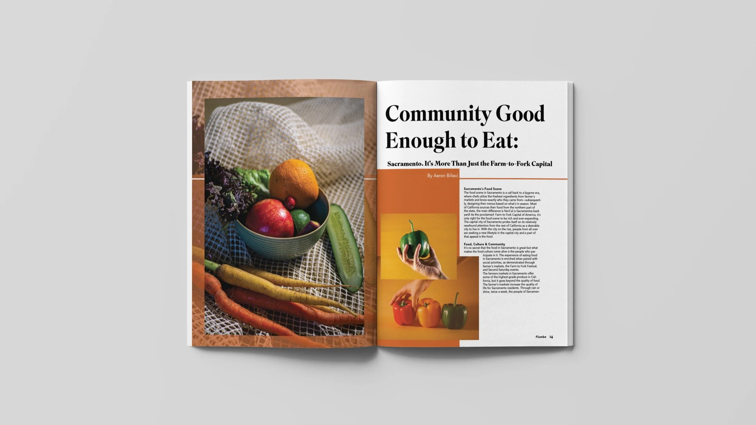 Mockup_article2spread.jpg