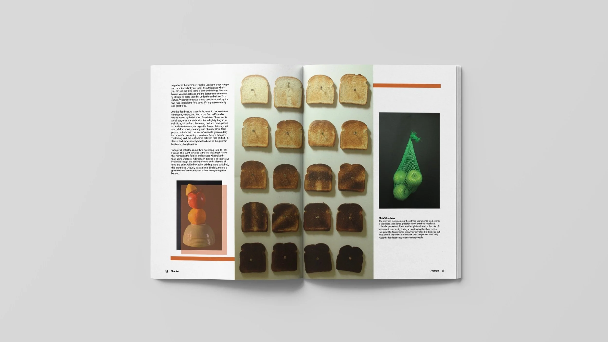 Mockup_article2spread2.jpg