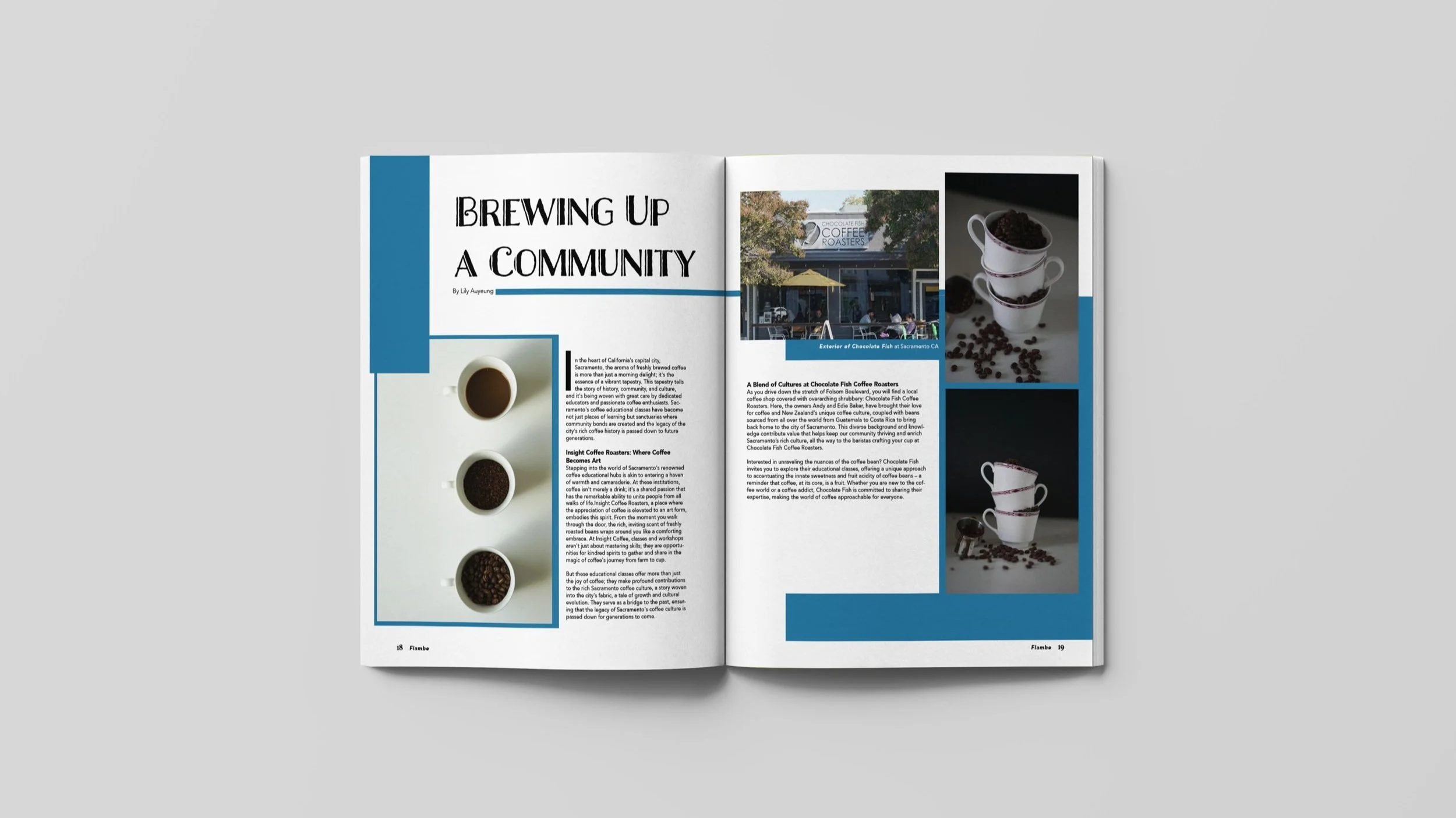 Mockup_article2spread.jpg