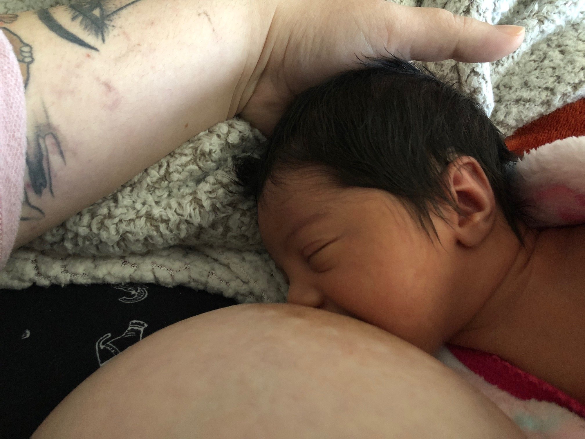 ppfeeding .jpg