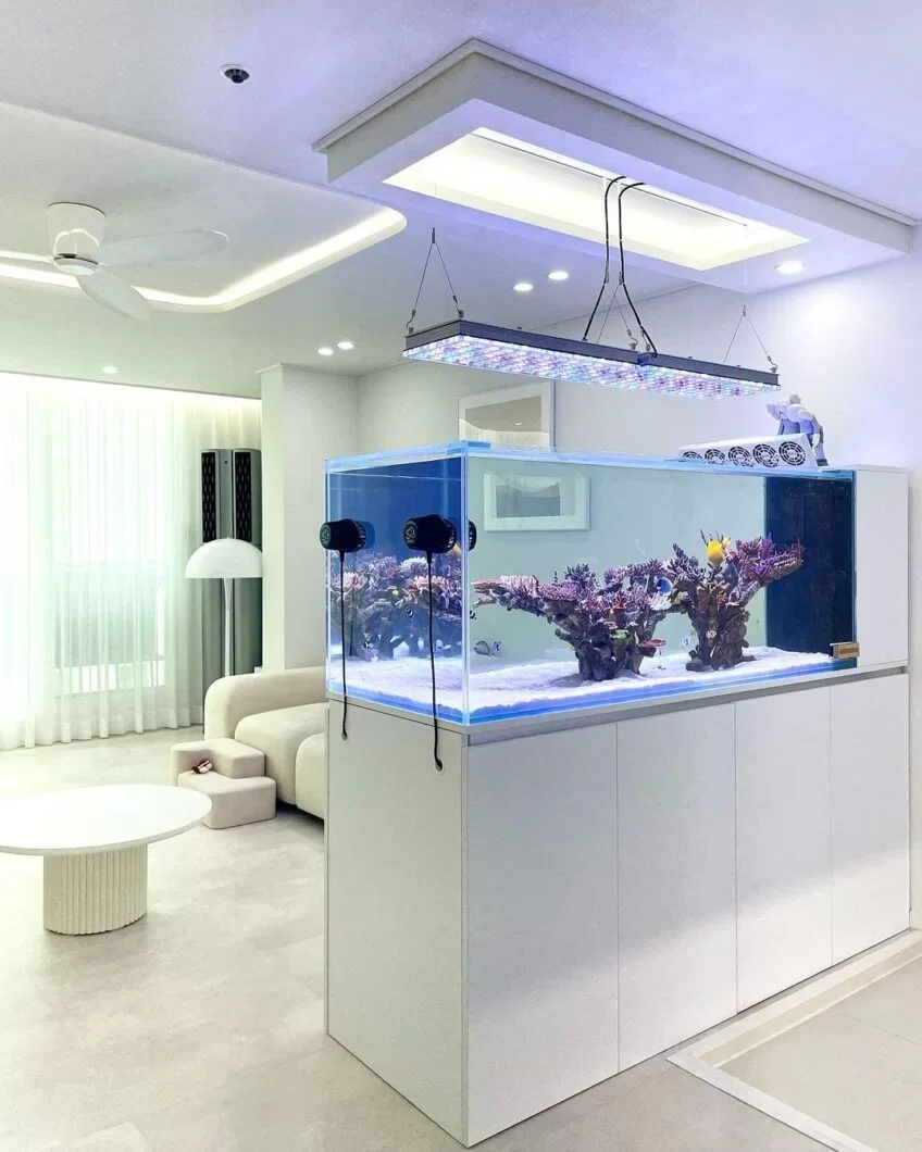 Modern living room with a large saltwater aquarium on white cabinets, with coral and fish inside, and a white sofa and coffee table nearby.