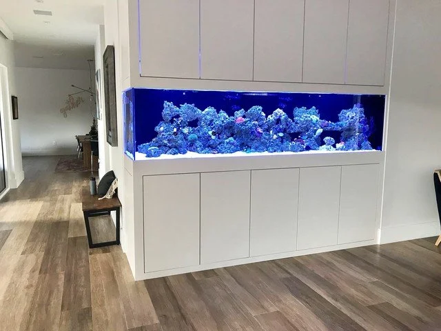 Large built-in aquarium with blue lighting in a modern home interior
