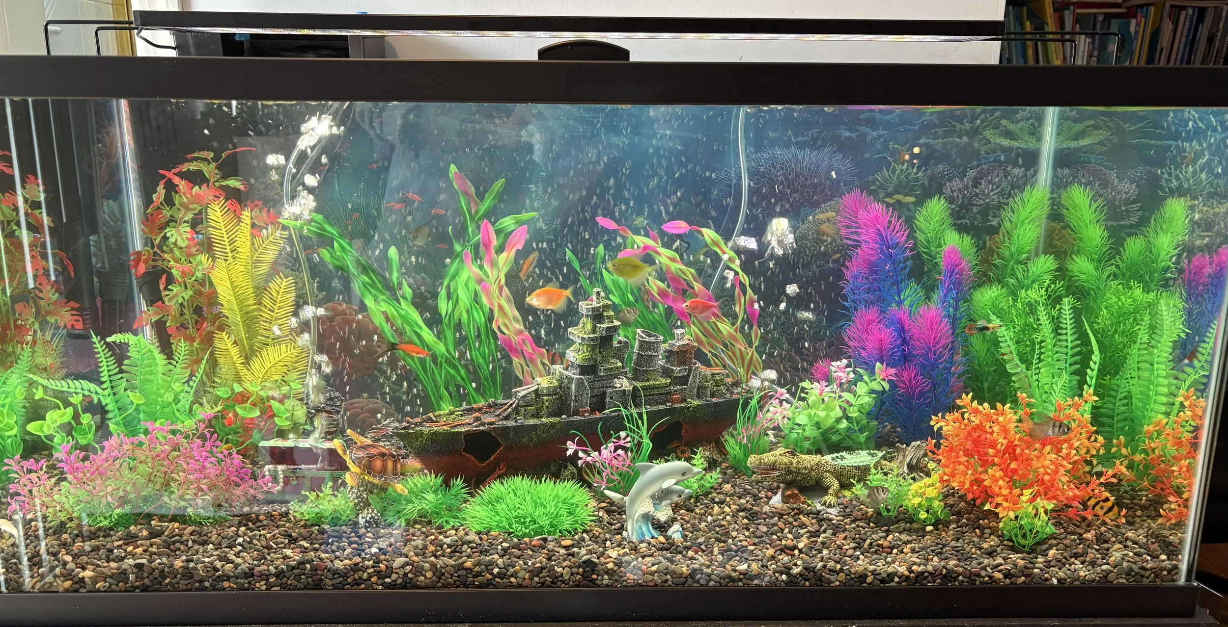 Colorful planted aquarium with artificial coral, plants, fish, a small turtle, a dolphin figurine, and a shipwreck decoration.