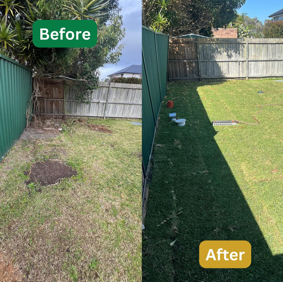 Project 8 image 1.PNG