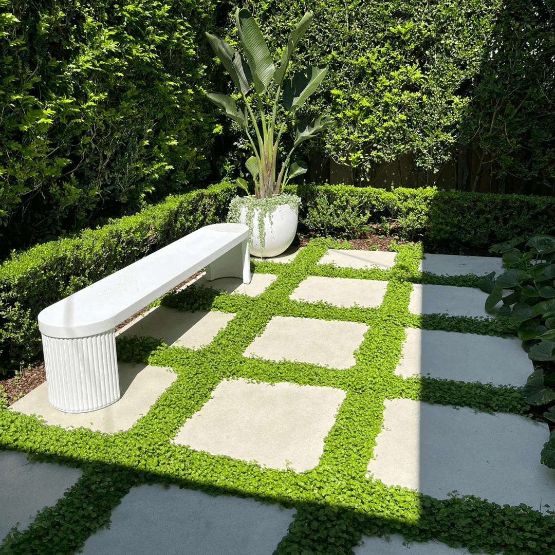 VL_North Bondi pavers garden.png