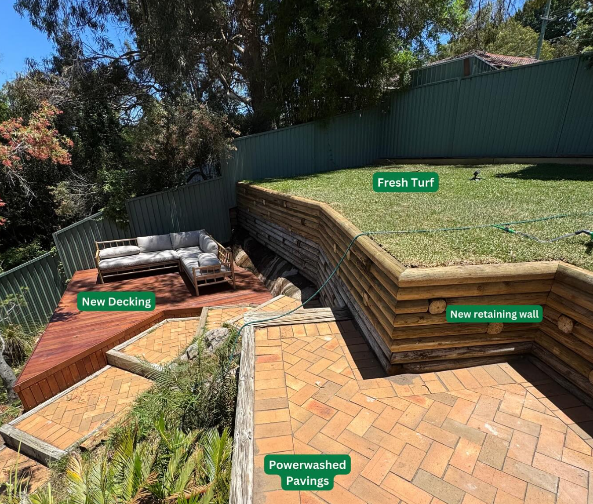 Project 9 image 1.PNG