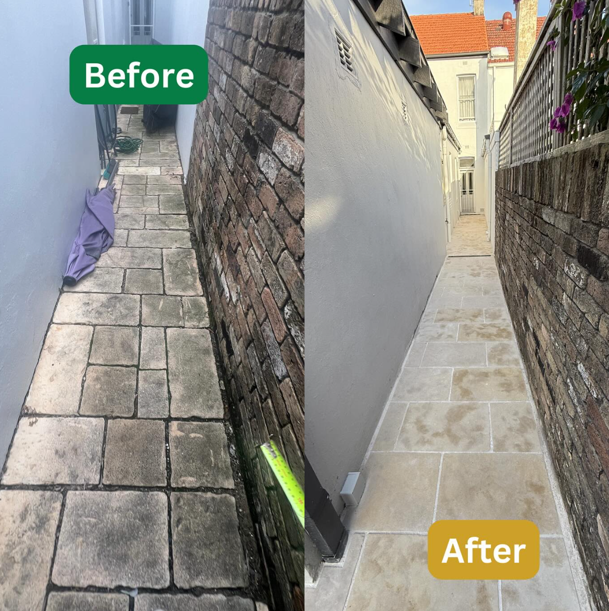 Project 6 image 1.PNG