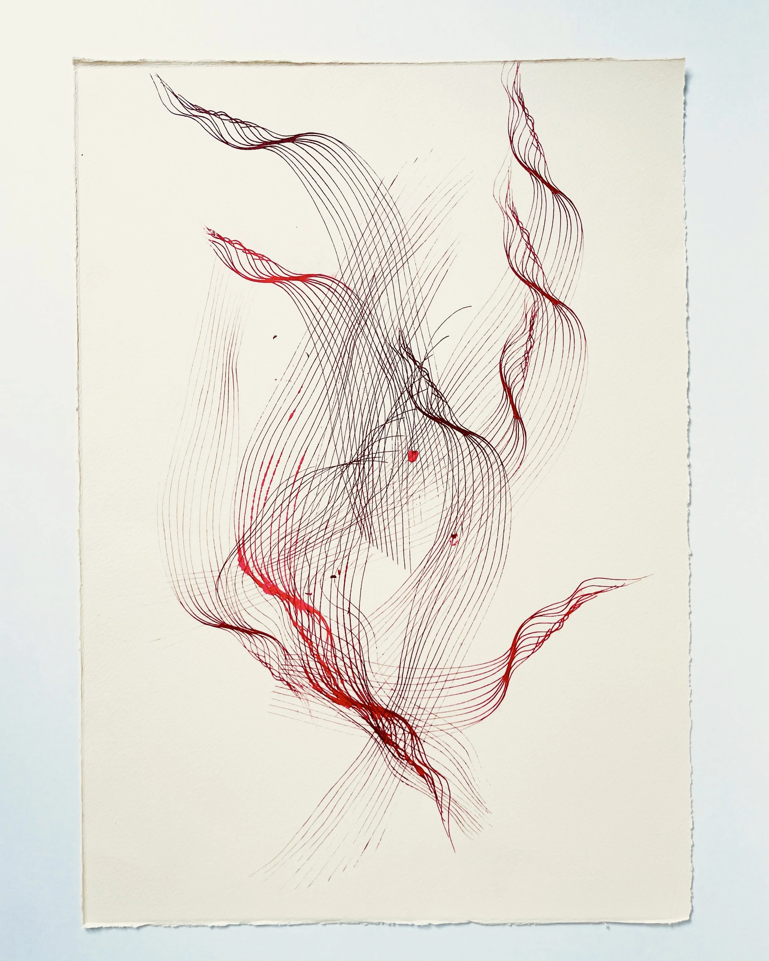 Untitled, screenprint/monoprint on paper, unframed