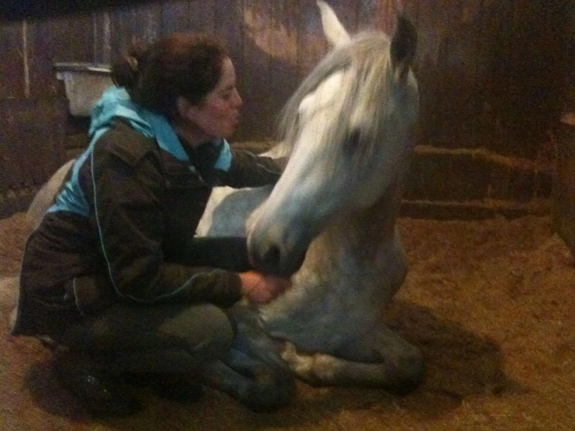 Creating your intention for an animal communication