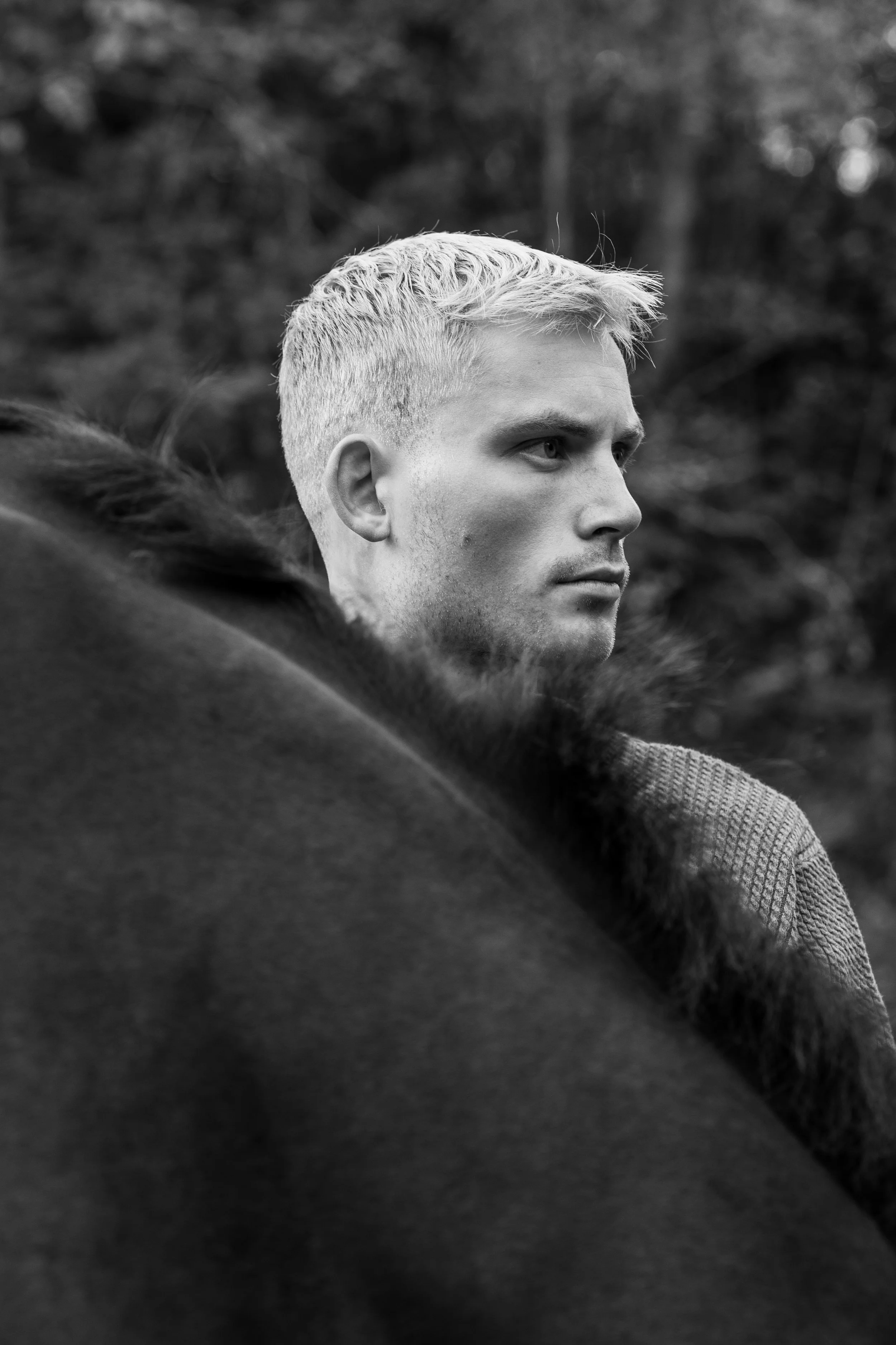 Jonas-3.jpg