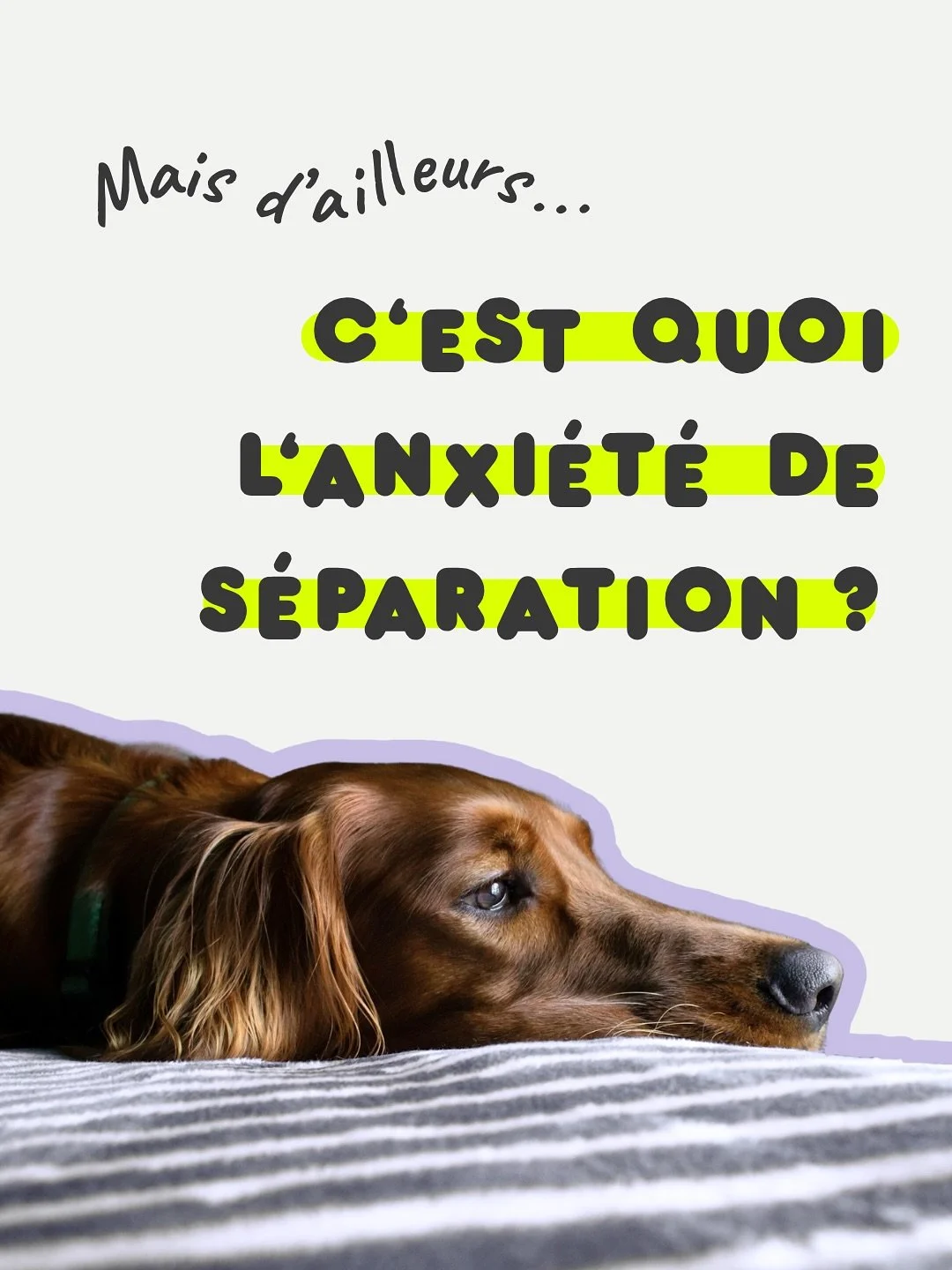🔍 Anxi&eacute;t&eacute; de s&eacute;paration : un terme qu&rsquo;on utilise beaucoup&hellip; mais qui cache une multitude de r&eacute;alit&eacute;s diff&eacute;rentes. 

Si je continue d&rsquo;employer le terme pour me faire comprendre car il est en