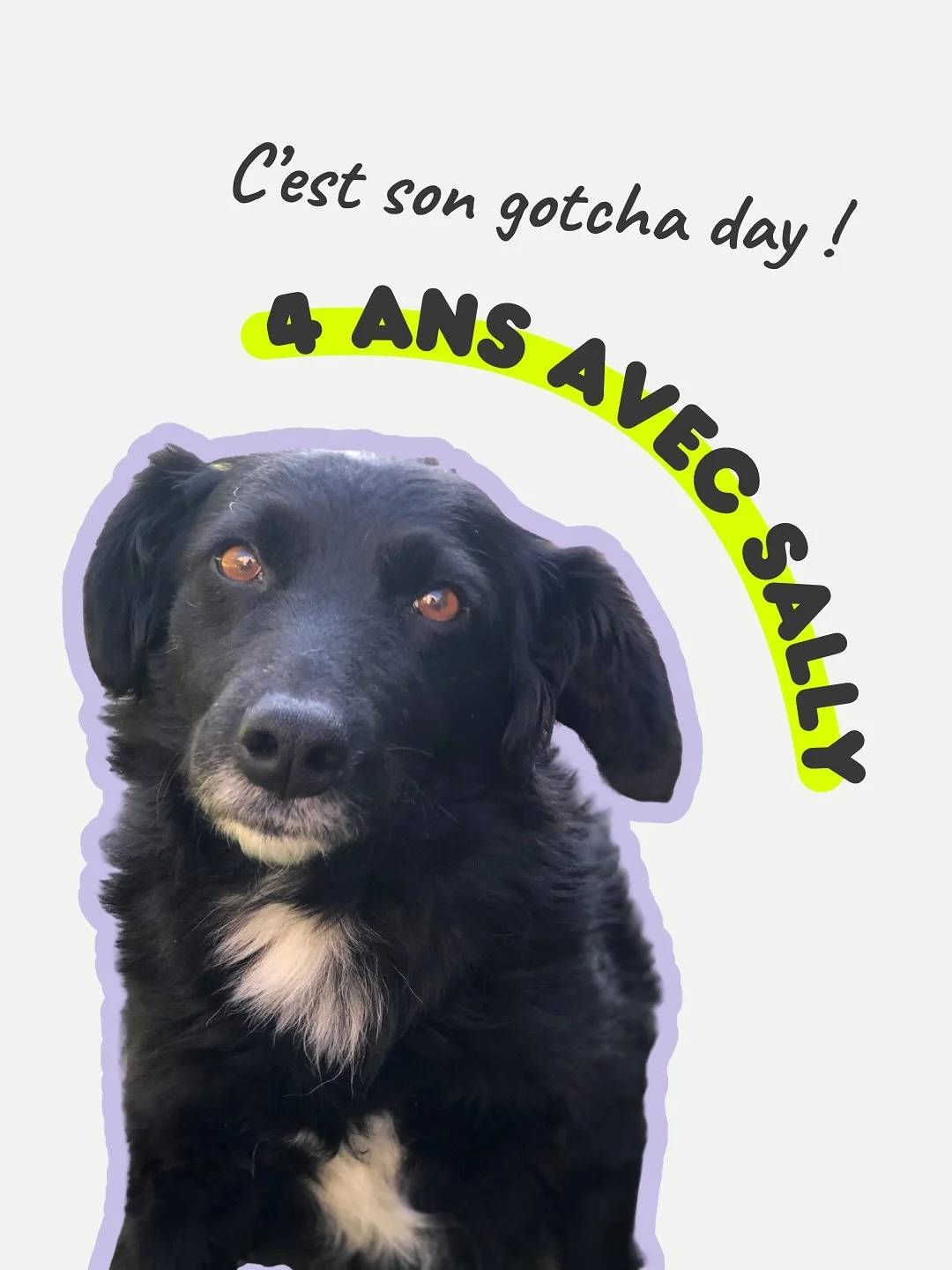 Happy gotcha day ma Sally 🖤

Le 26 septembre 2021 nos vies &agrave; toutes les deux ont compl&egrave;tement chang&eacute;. 

4 ans &agrave; ses c&ocirc;t&eacute;s &agrave; apprendre, faire des erreurs, comprendre des nouvelles choses, apprendre enco