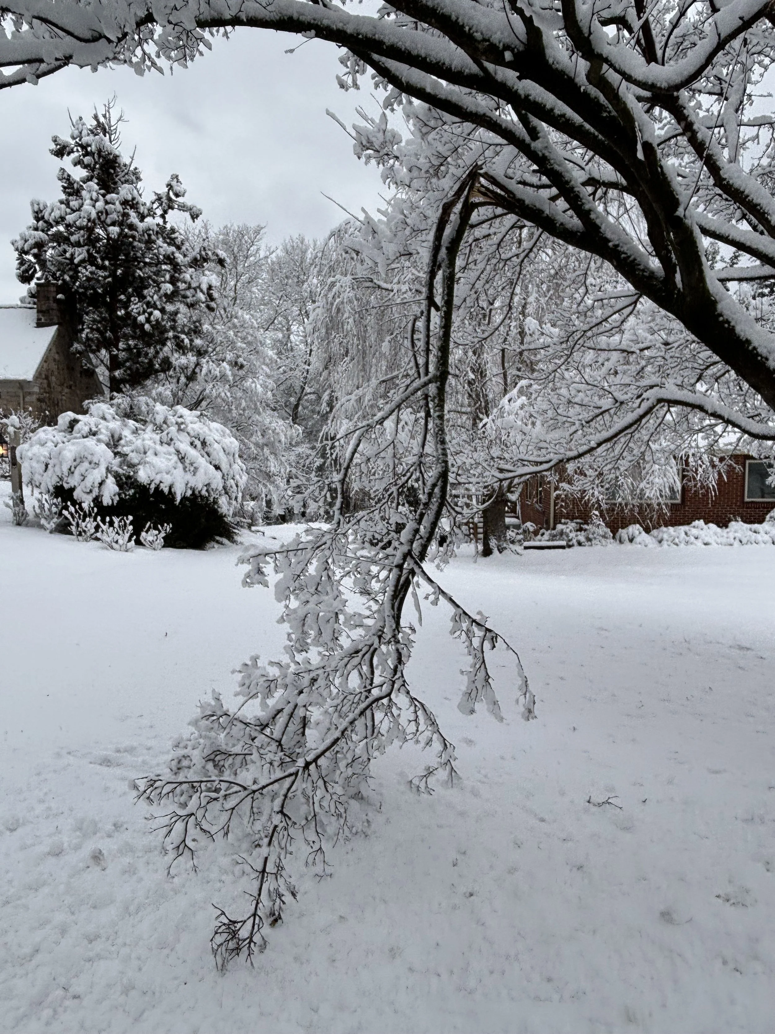 Beauty and Brokenness