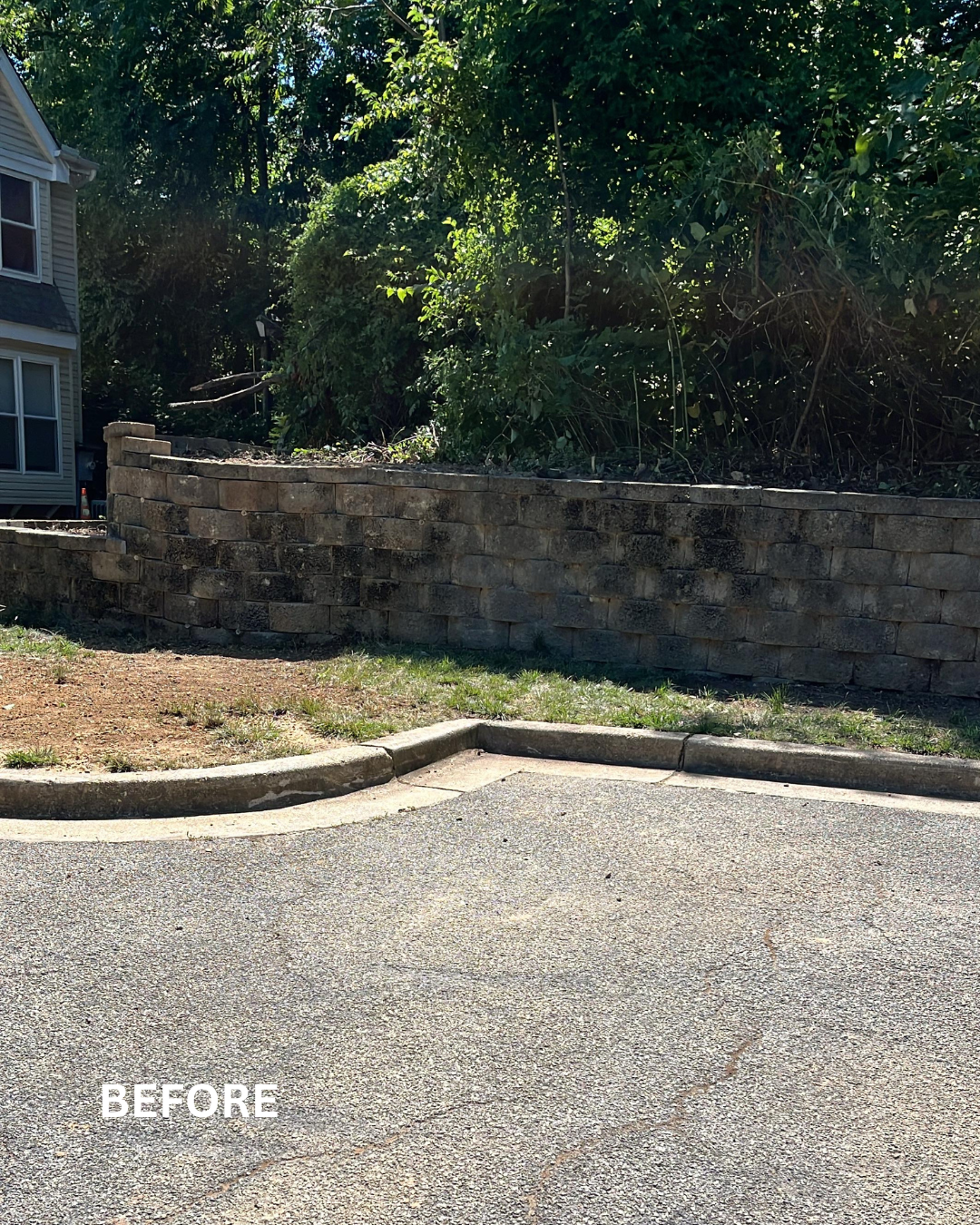 A retaining wall with dark-colored bricks, filled with green foliage, next to a driveway with a curb.