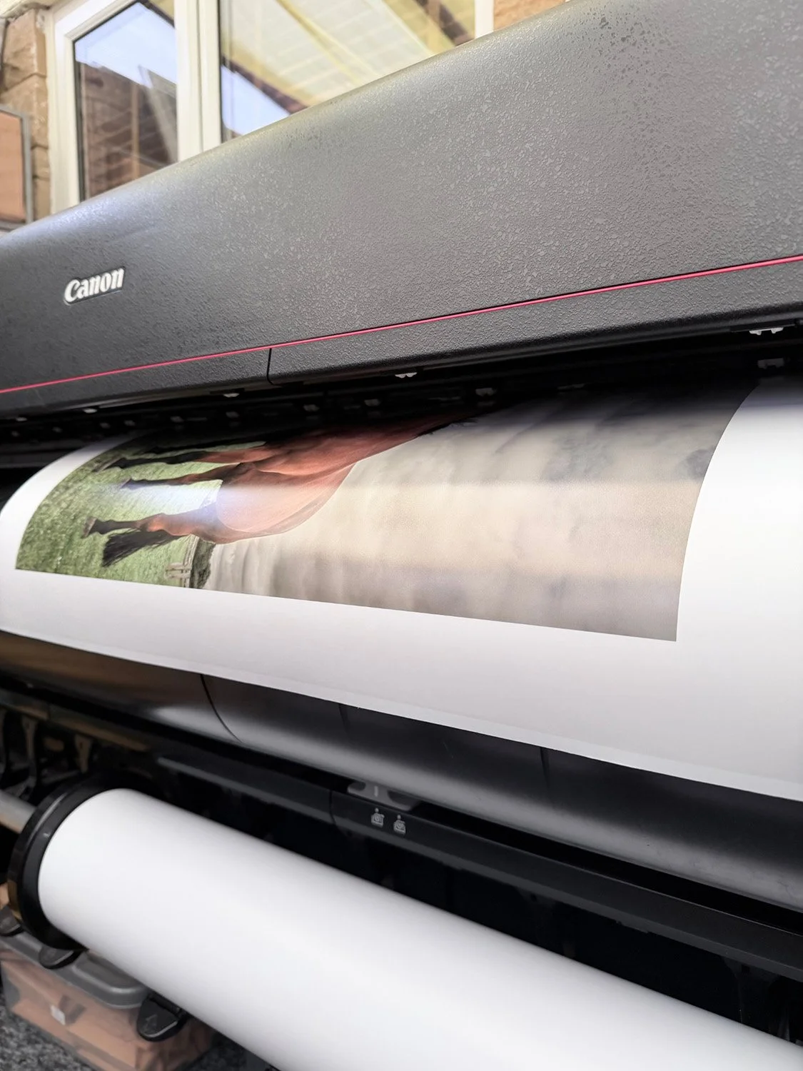 A large format printer in the process of printing a photograph of a horse standing in a field.