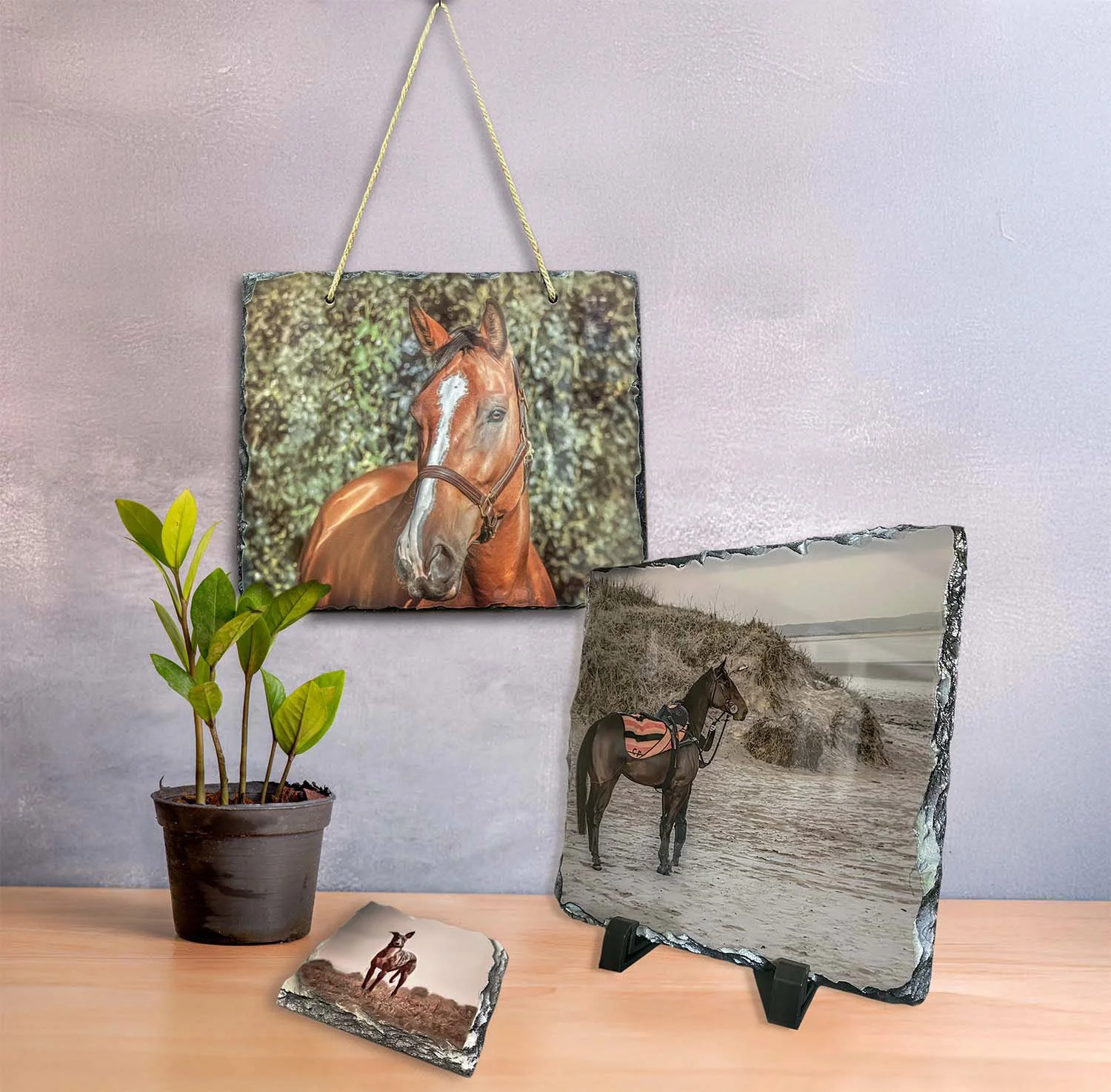 A display of Photo printed slates products. There is a large hanging slate with a horse on it and another slate on a stand with a racehorse on the beach, the slate coaster has a whippet dog on it and the scene has a green plant all sat on a bench.