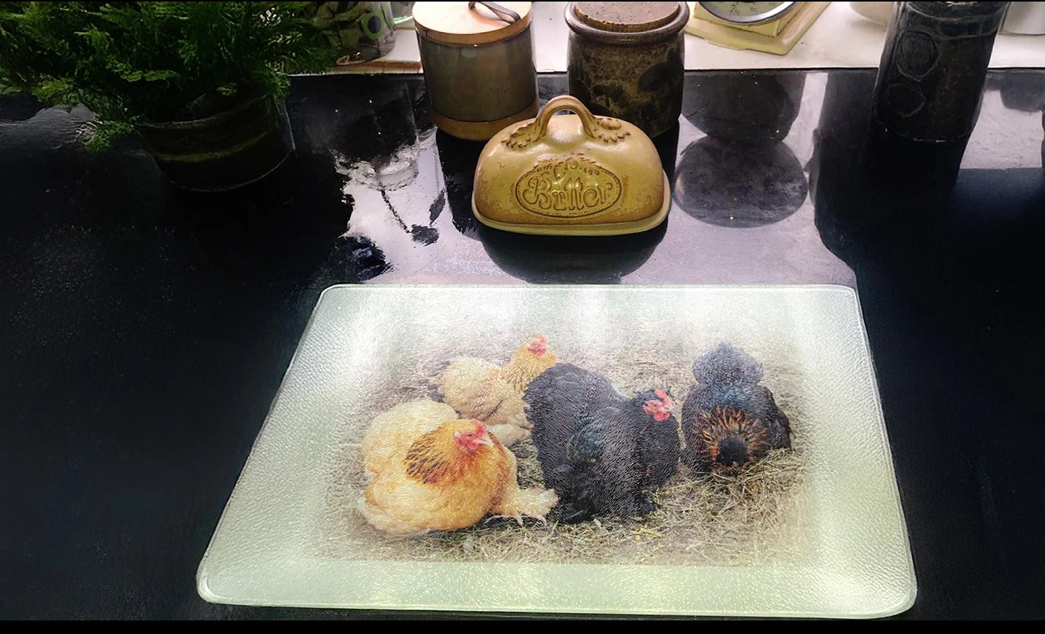 A glass plate with four chickens on a bed of straw, viewed through a textured glass chopping board.