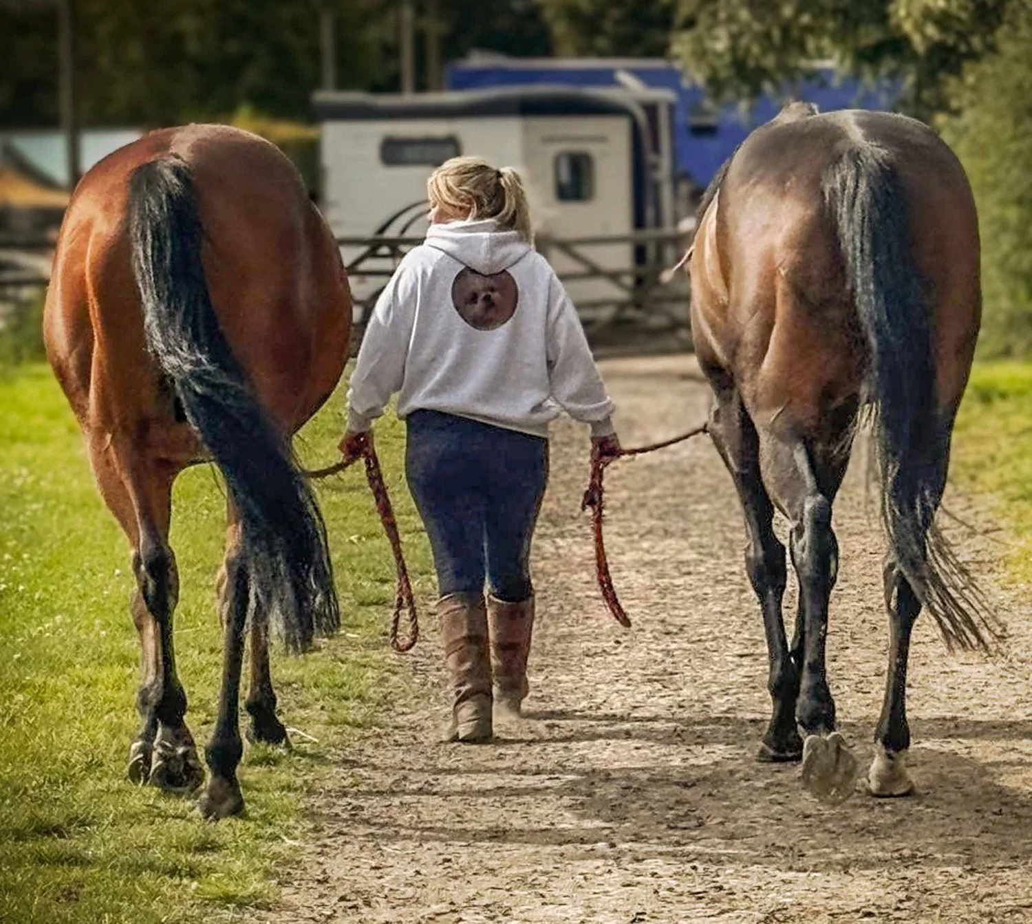 Tracey Jane Pet Photography is leading two horses in from the field.