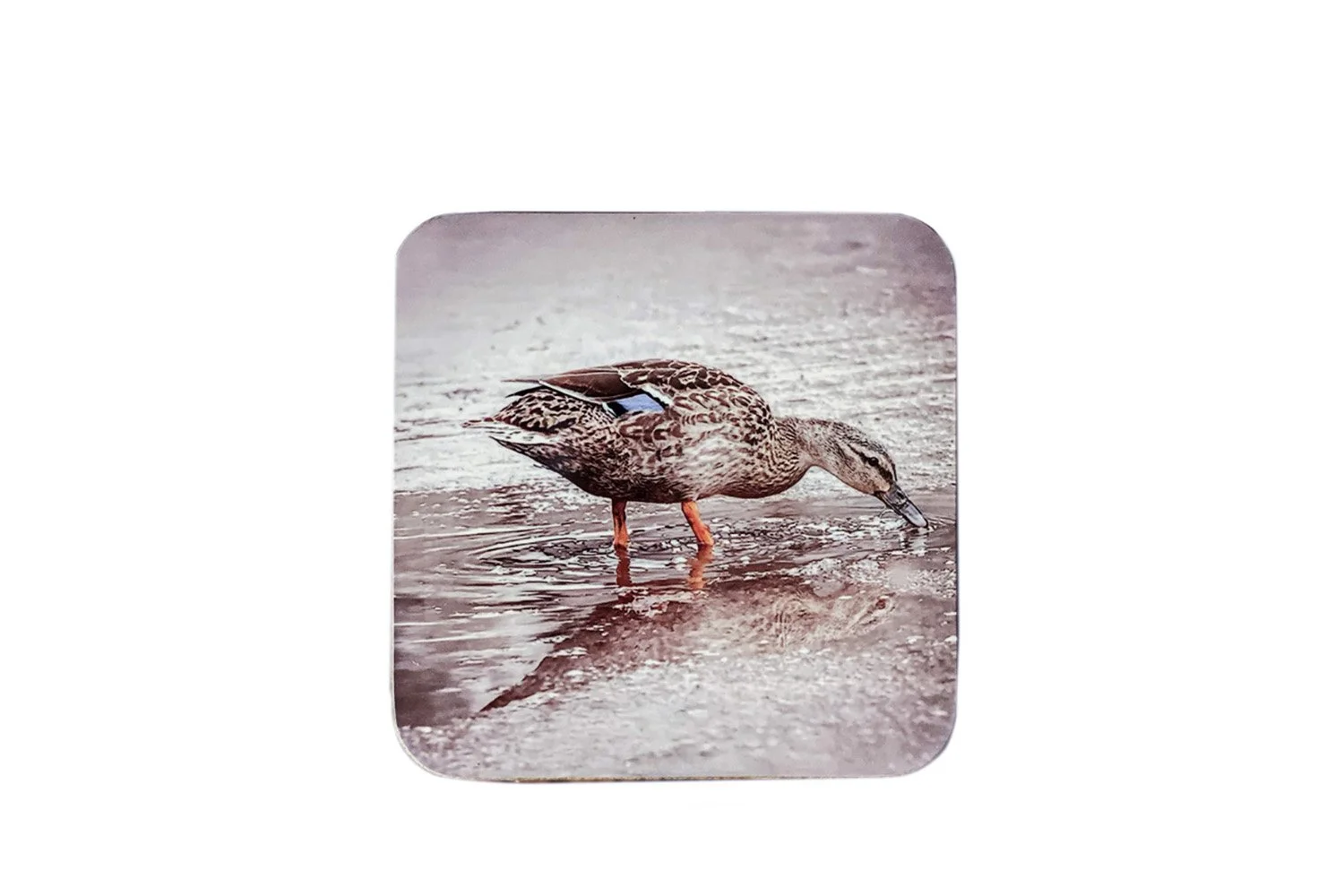 Square MDF Coaster.jpg