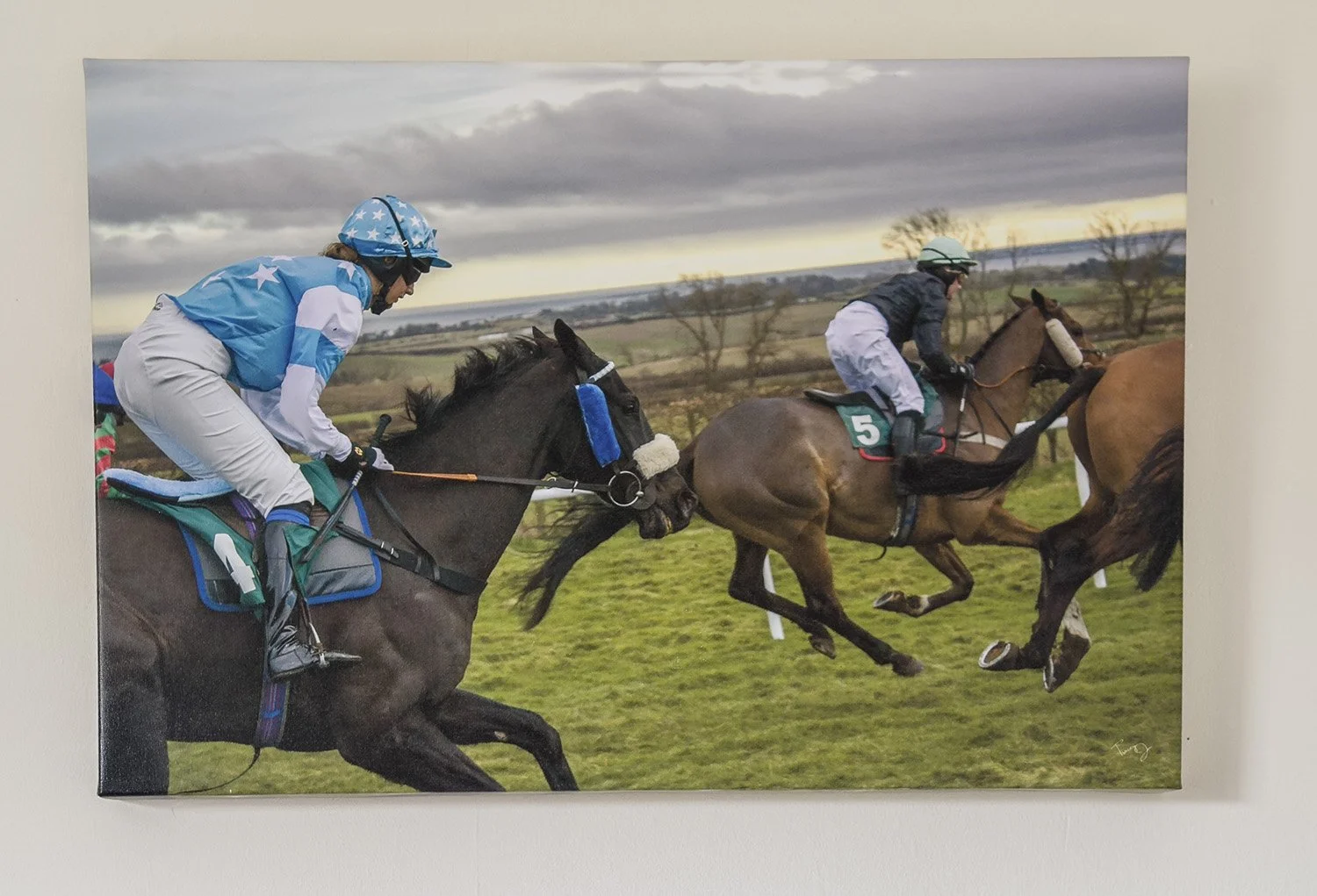 Canvas Print Displayed in Clients Home.jpg