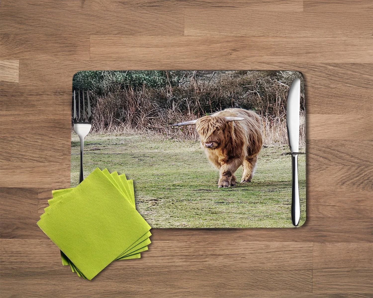 Personalised photo placemat printed in-house from Tracey Janes Photography image of a highland cow.