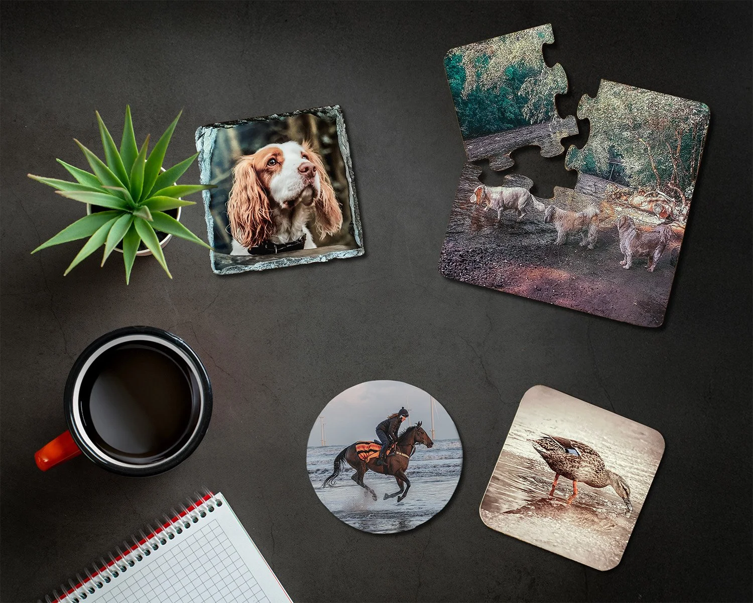 A work desk with a small green succulent plant, a cup of coffee, a spiral notebook, and three photographs: a dog, a person riding a horse on the beach, and a duck on water, along with a jigsaw puzzle of dogs in a forest.