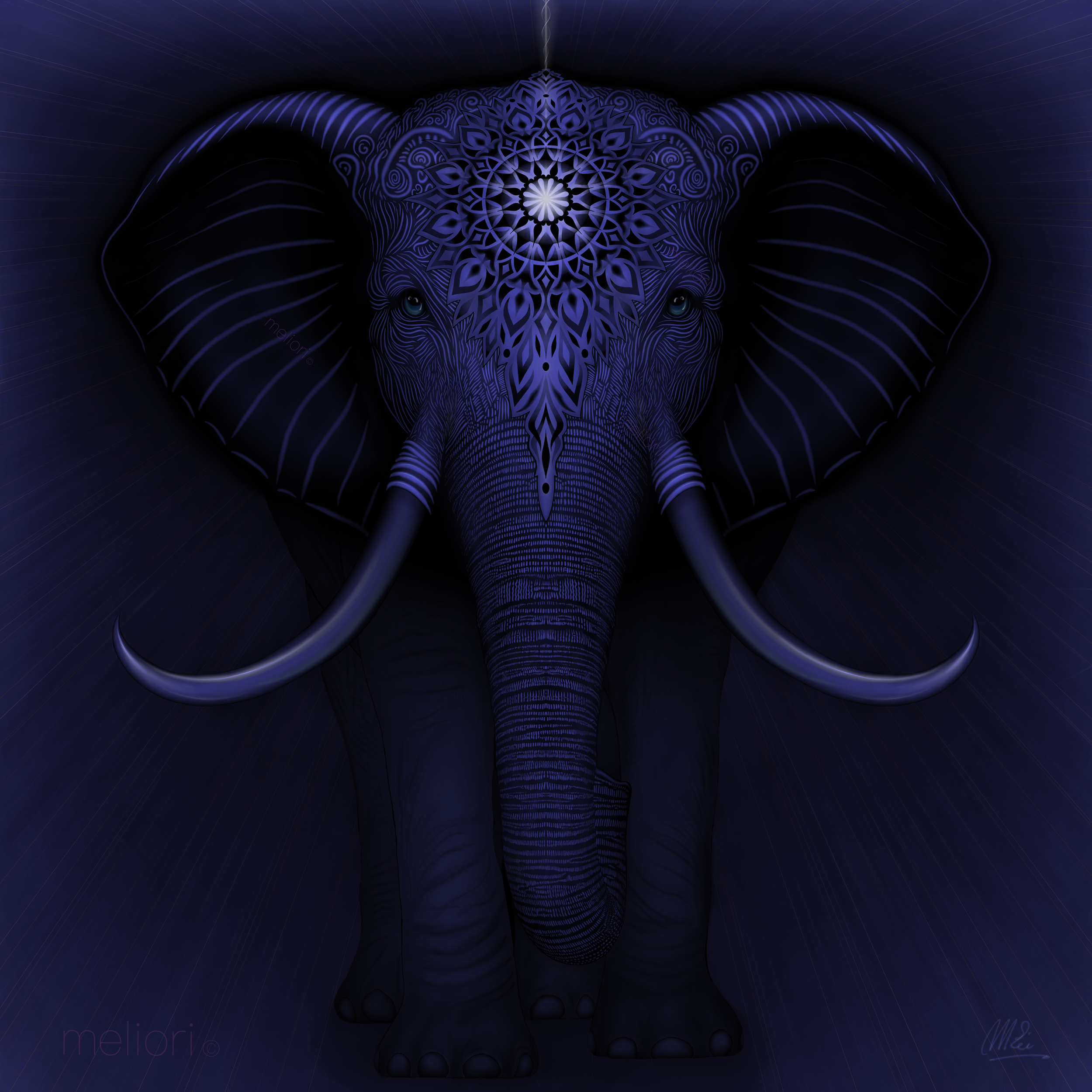 IMG_3099.png