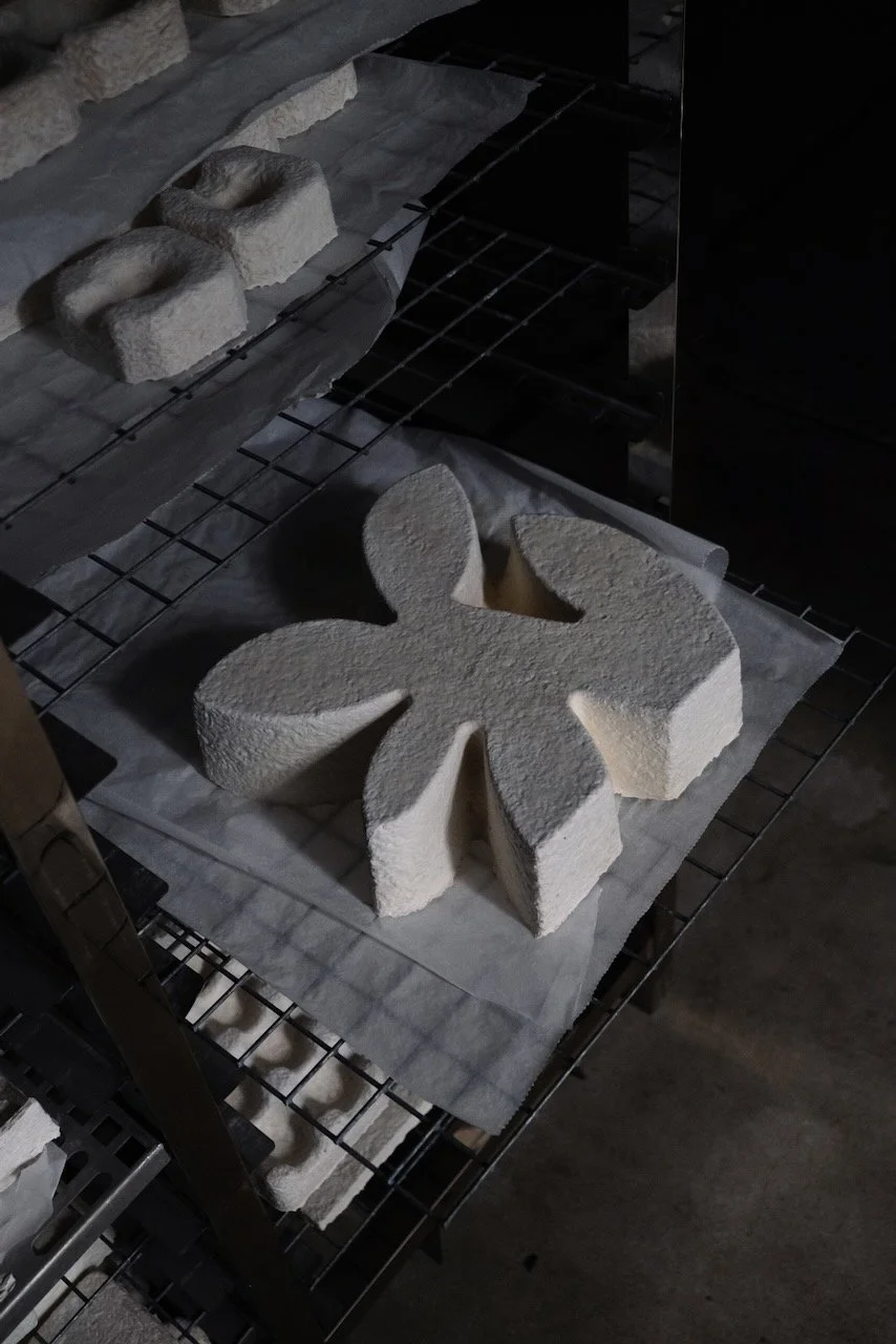 Mycelium Art Sculpture Samu Studio - 1 of 18.jpeg