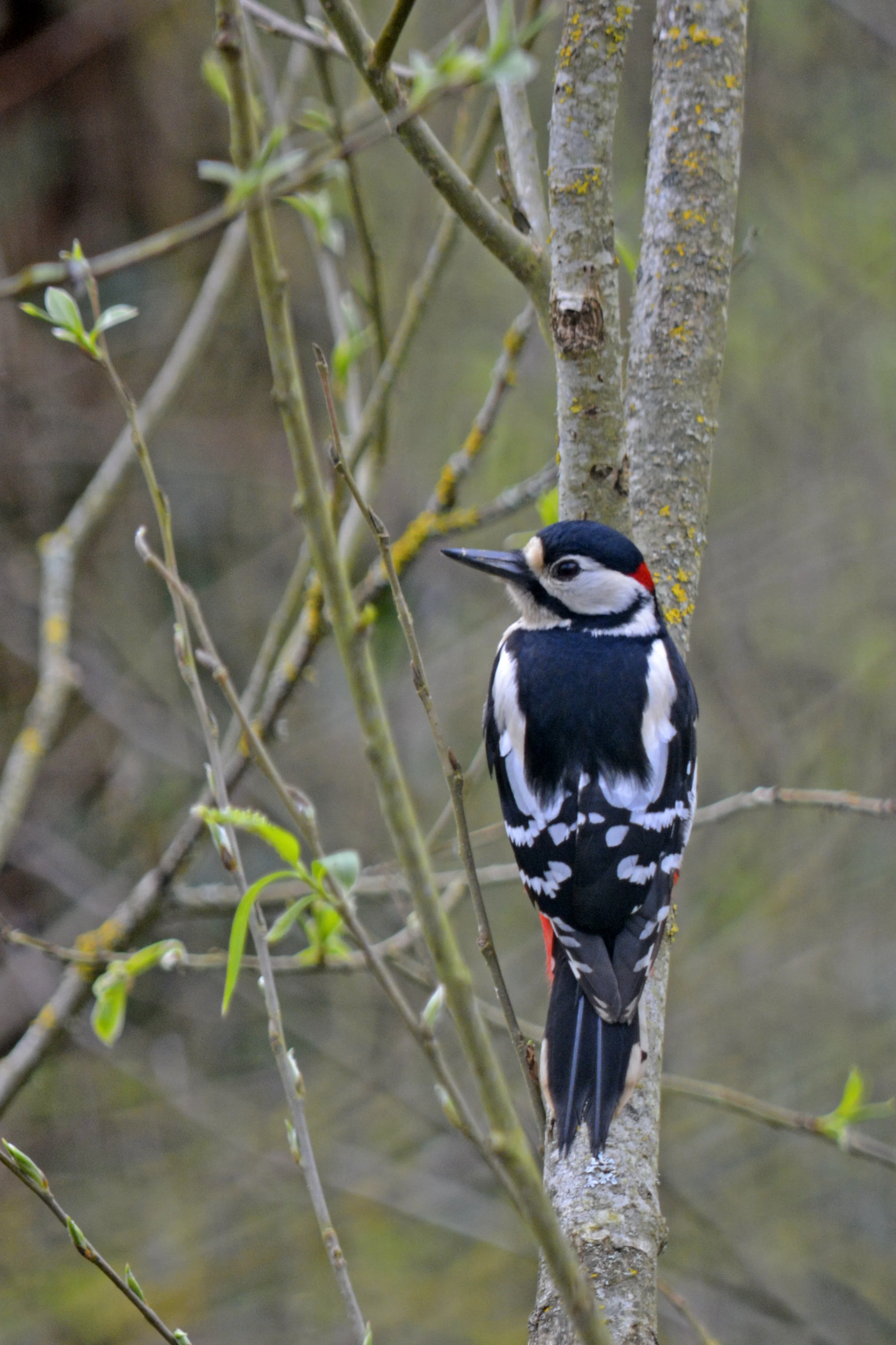 DSC_0877.JPG