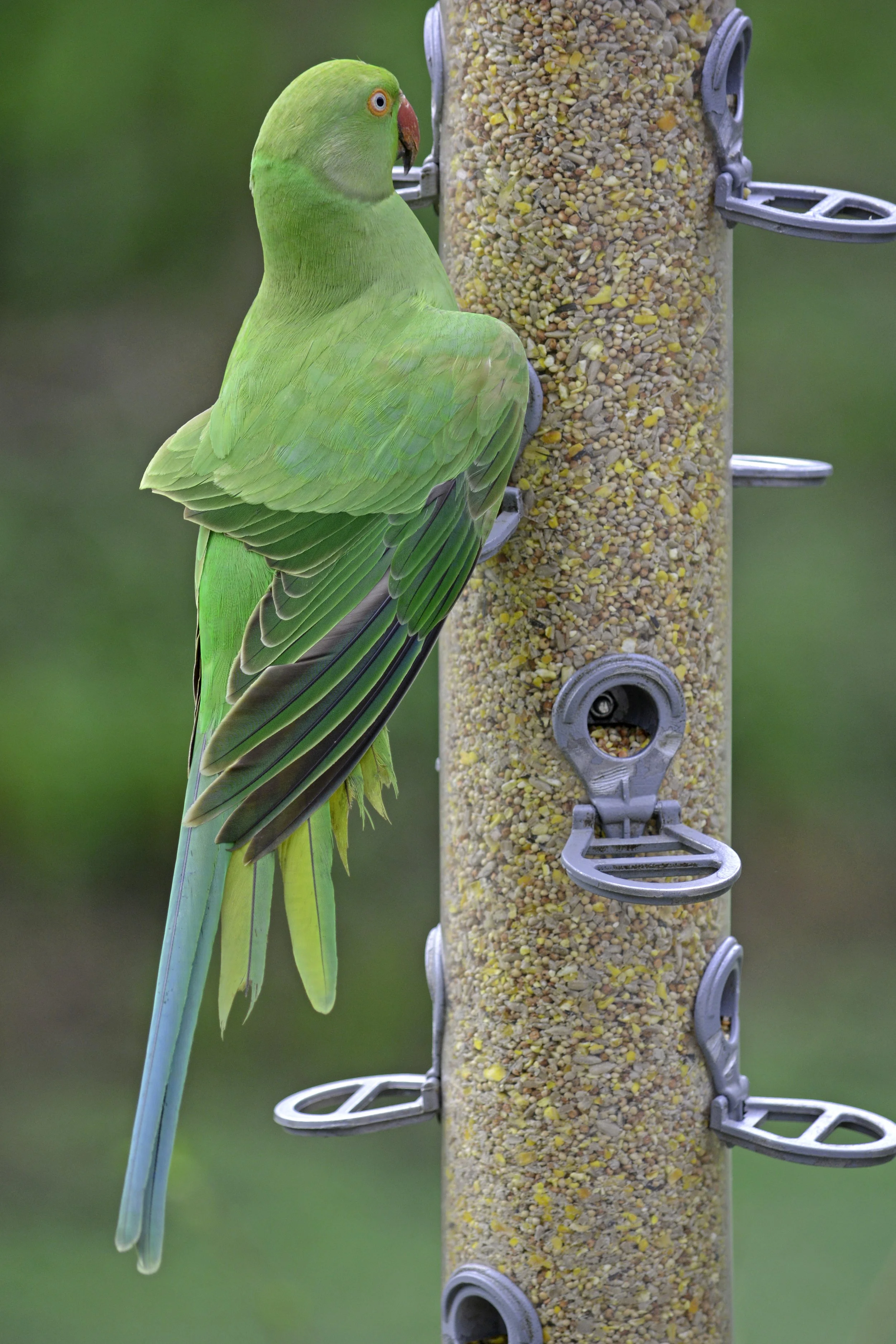 DSC_0831.JPG
