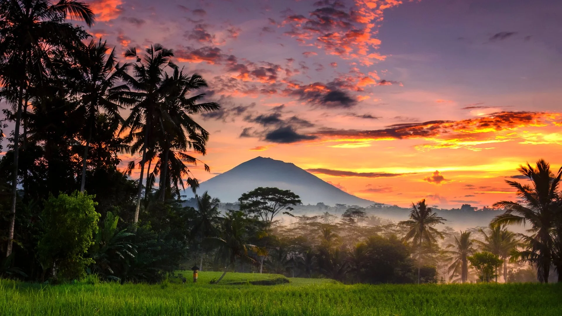 Bali 2026 - Couples Registration 3-Payment Plan
