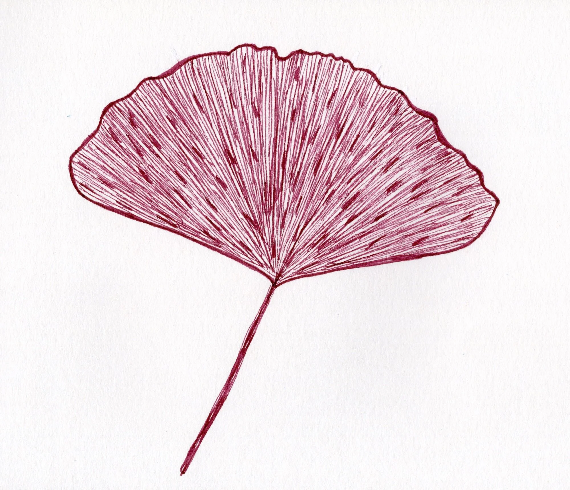 Gingko copy.jpg