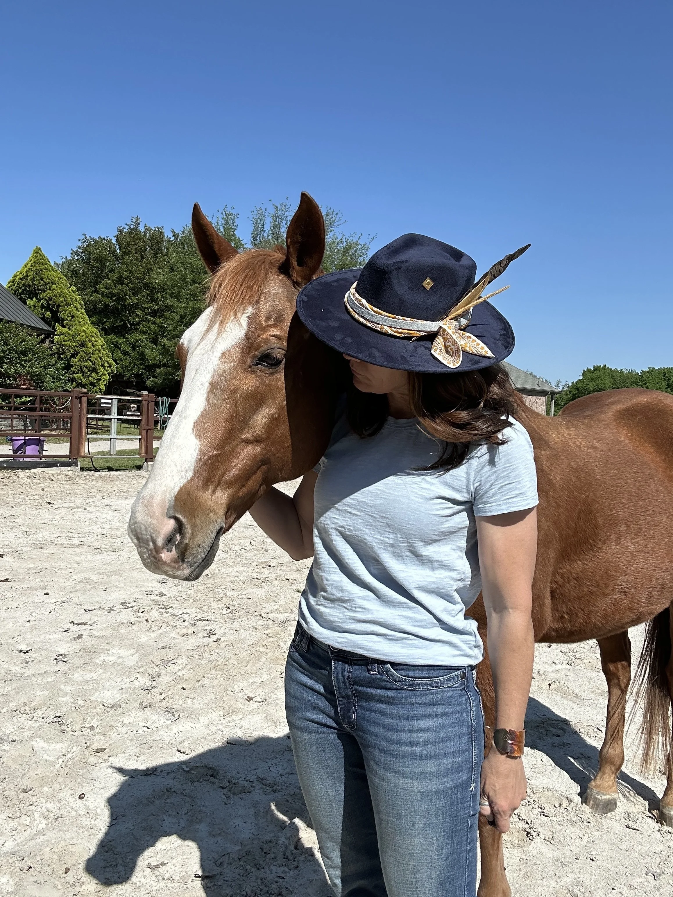 Equus Workshop