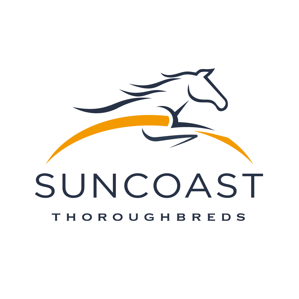 Suncoast-Thoroughbreds.png