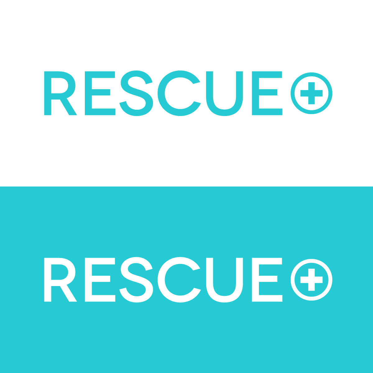 RESCUE.png
