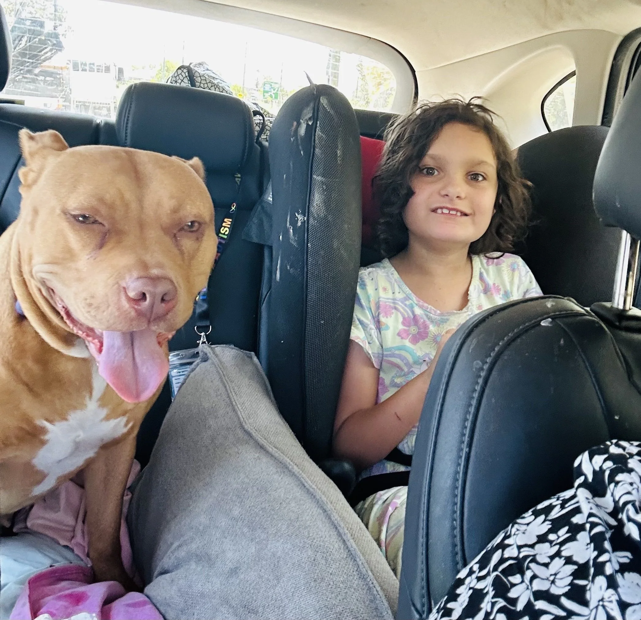 Hayley & Jude's first road trip together